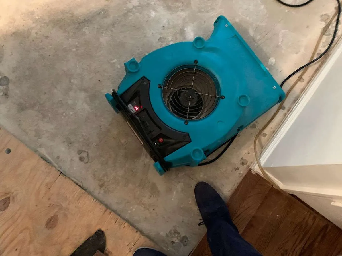 Air mover drying subfloor during Commercial Water Damage Restoration in Wilton